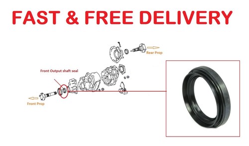 For toyota land cruiser - land, amazon